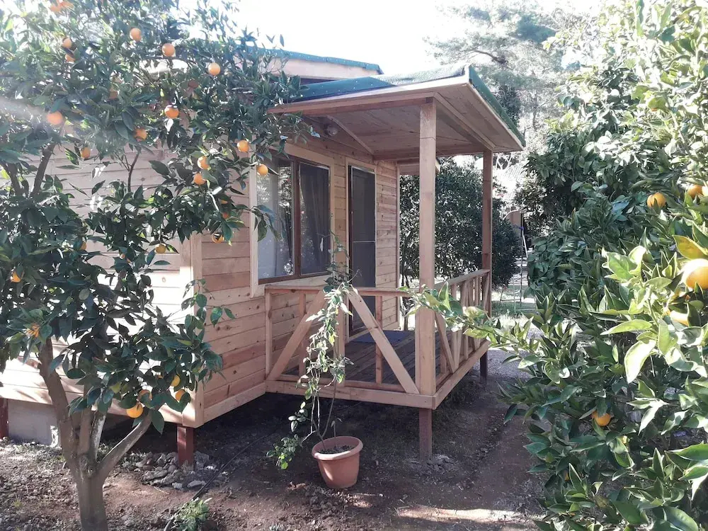 Standard Double room with garden view