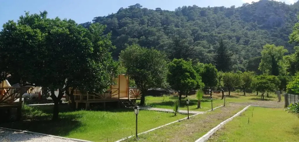 Standard Double room with garden view