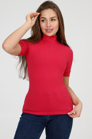 Водолазка 26001