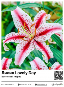 Лилия Lovely Day (Восточный [ориентальный] гибрид)