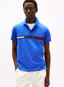 Regular Fit Embroidered Stripe Polo