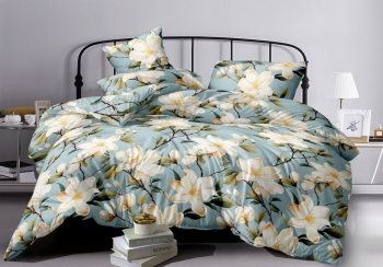 Комплект постельного белья Безмятежность бязь