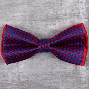 бабочка 
4.004.357