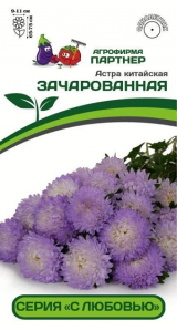 3280P Астра китайская ЗАЧАРОВАННАЯ 5шт