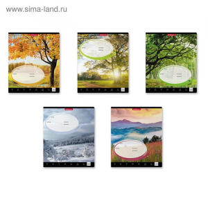 Тетрадь 24 листа в клетку, ErichKrause «Родные просторы», обложка мелованный картон, МИКС