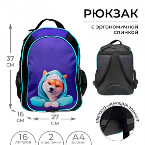 Рюкзак школьный, 37?27?16 см, эргономичная спинка, Calligrata Б «Сиба»