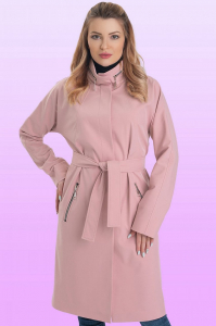 519 (260896473)-48/пудровый