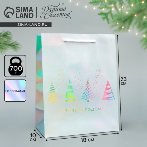 Пакет новогодний подарочный голографический «С Новым годом», 18?23?10 см