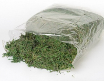 Искусственные цветы, Мох натуральный 800 гр. зеленый