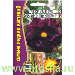 Адениум Triple Magenta 3 шт (семена для проращивания)
