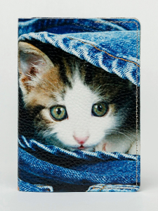 Обложка для паспорта VITA2