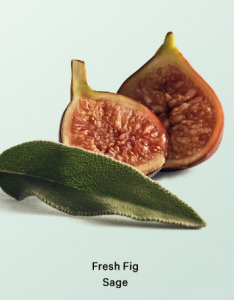 Fresh Fig Sage Hydrating Body Lotion