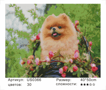 US0366 Без подрамника мозаика 40*50