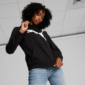 Essentials Big Cat Logo