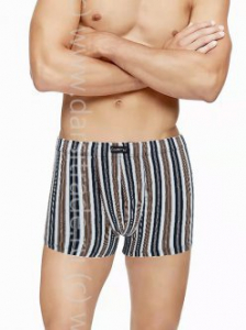 Трусы мужские GS7916 Gentlemen шорты