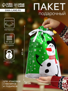 Пакет подарочный новогодний с завязками, «Бенгальские огни», 29?43 см