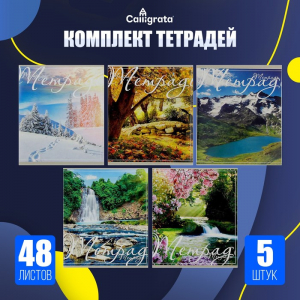 Тетради 48 листов в клетку «Пейзаж», обложка мелованный картон, серые листы, 5 шт.