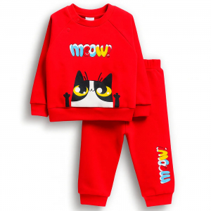 Костюм футер 2х нитка начёс 8027310303