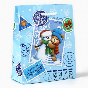 Пакет подарочный новогодний ламинированный «Новогодняя посылка», S 12?15?5.5 см