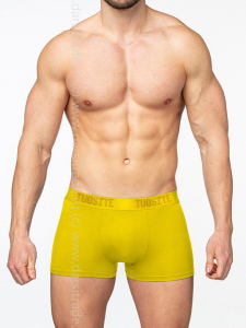 TS7801-7 Трусы мужские Дроп Tousite боксеры