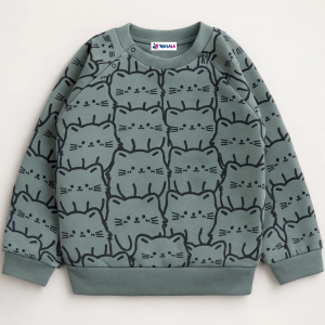 Толстовка футер 2х нитка начес 1027310111