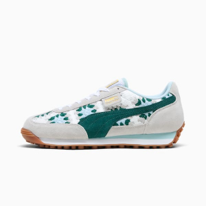 Easy Rider Seaside Drills