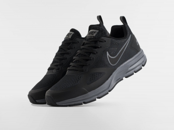 Кроссовки Nike Air Pegasus 30+