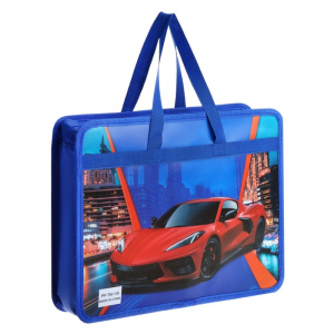 Папка с ручками пластиковая А4, 37 х 22 х 5 см 