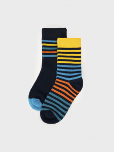 Носки для мальчика, 2 пары в комплекте