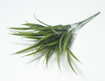 Искусственные цветы, Ветка в букете осоки 6 веток (1010237) зеленый