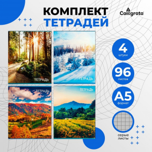 Комплект тетрадей из 4 штук, 96 листов в клетку Calligrata 