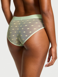 Sheer Heritage Shimmer Hiphugger Panty