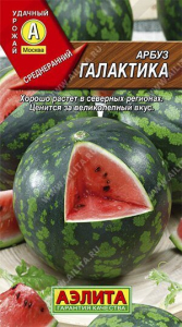 Семена Арбуз Галактика Ц/П