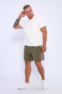 Шорты мужские 35336