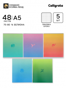 Тетради 48 листов в клетку Calligrata «Градиент», блок №2, 5 видов, набор 5 шт.