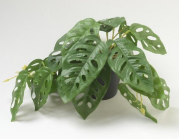 Искусственные цветы, Композиция монстера в кашпо без расцветки