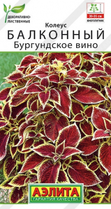 Колеус Бургундское Вино Аэлита
