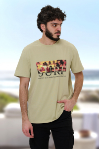 футболка мужская 2920-20