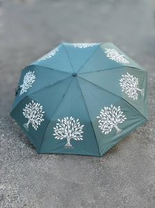 J.S Ondo Arbol (360) MENTA