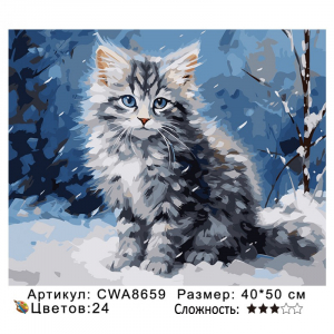 CWA8659 Под заказ