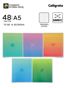 Тетрадь 48 листов в клетку Calligrata «Градиент», блок №2, 5 В МИКС