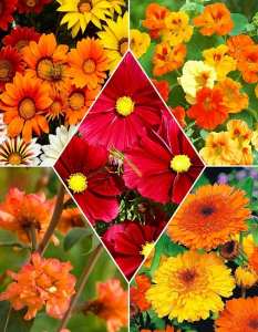 Набор Пламя страсти 20 пакетов