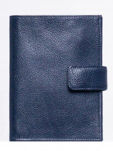 Обложка, автодокументы Richet Ri-026BV 512 Синий