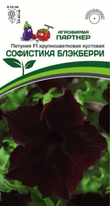 3415P Петуния F1 серия СОФИСТИКА БЛЭКБЕРРИ / крупноцветковая кустовая 5шт