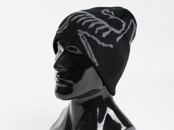 Шапка Arcteryx