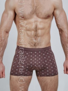 SD2036-4 Трусы мужские Salvador Dali Дроп боксеры