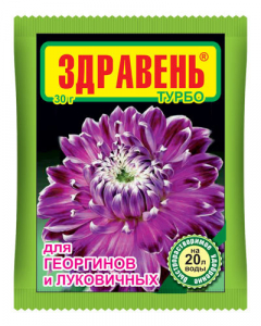 Здравень георг+лук 30г В\Х