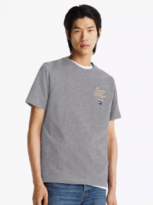 Embroidered Hilfiger Script T-Shirt