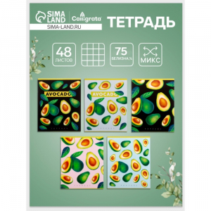 Тетрадь 48 листов в клетку, Calligrata «Авокадо», серые листы, МИКС