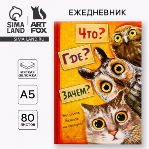 Ежедневник А5, 80 листов в тонкой обложке «Что? Где? Зачем?»